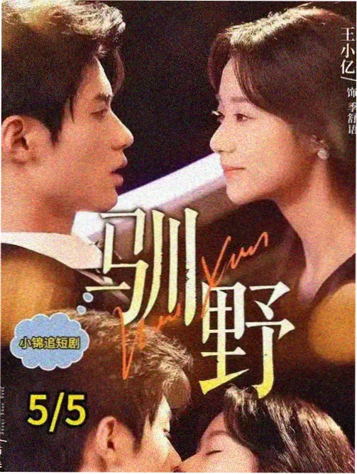 你是我的荣耀 青柠影院电视剧